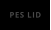PES LID