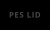 PES LID